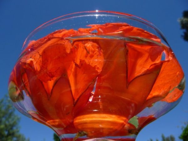 Pomegranate Flower Remedy