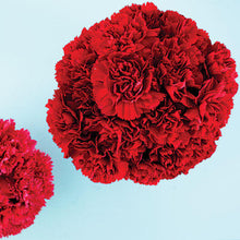 Load image into Gallery viewer, Red Carnation Flower Essence
