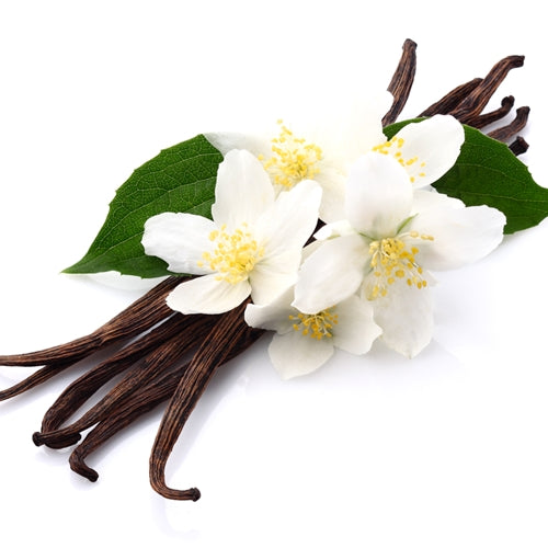 Vanilla Flower Essence
